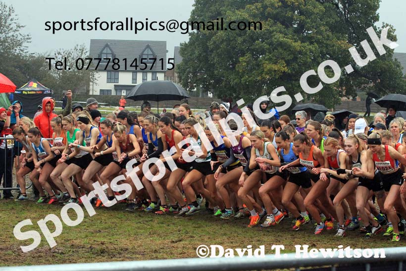 Senior Womens 2023 National Cross Country Relays, Berry Hill Park, Mansfield.  Photo: David T. Hewitson/Sports for All Pics